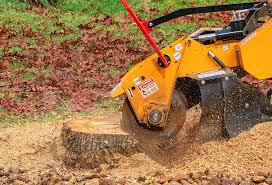 Lawn Grading and Leveling in Church Hill, PA